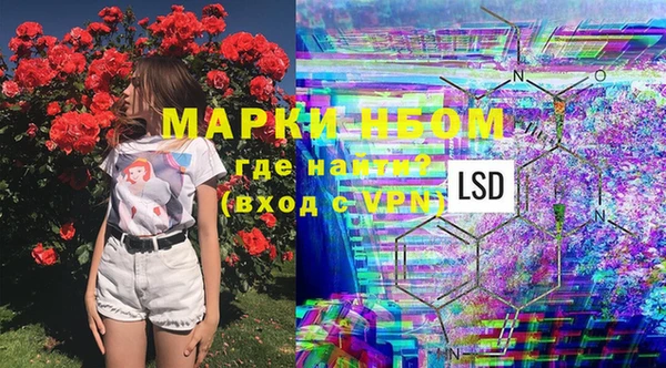 mix Щигры