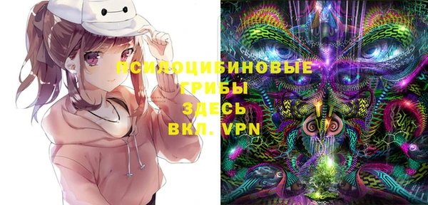 бошки Заволжск