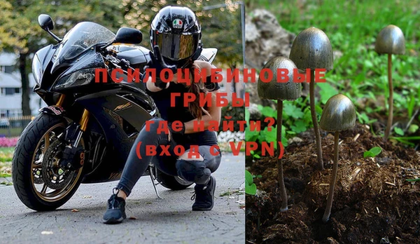 бошки Заволжск