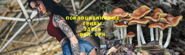 MDMA Заволжье