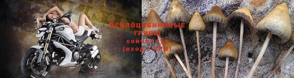 каннабис Заводоуковск